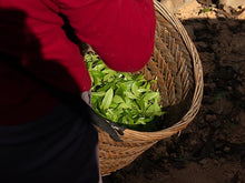 Load image into Gallery viewer, Limited Sale/Phoenix Single Cong Lao Cong Ba Xian