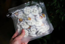 Load image into Gallery viewer, Chen pi + Bai Mu Dan white tea,大吉大利