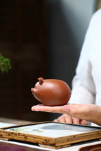 Load image into Gallery viewer, Fuzhu Tea Pet(福猪茶宠)