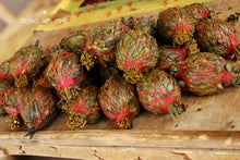 Load image into Gallery viewer, Long Xu Tea (Lao Cong Shui Xian)