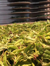 Load image into Gallery viewer, 2022“白鸡冠/White Cockscomb /Bai Ji Guan)