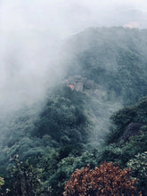 Load image into Gallery viewer, Special Grade Handmade Hui Yuan Keng Gao Cong Shui Xian