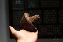 Load image into Gallery viewer, 1996 Puer Sheng tea mushroom tuo tea