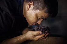 Load image into Gallery viewer, Gao Cong Shui Xian(高枞水仙)