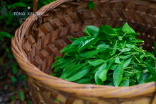 Load image into Gallery viewer, Limited Time Event: Buy 1 Get 1 Free. 2020 Ecological Gao Cong Shui Xian(高枞水仙)