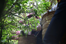 Load image into Gallery viewer, “Lao Cong Ye Lai Xiang” Phoenix dancong oolong/老枞夜来香