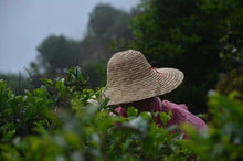 Load image into Gallery viewer, Lao Cong Wu Dong PeachFragrant Dan Cong