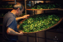 Load image into Gallery viewer, Jin You Di Da Hong Pao(金油滴大红袍)