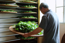 Load image into Gallery viewer, The first batch of national intangible cultural heritage Wuyi rock tea (Dahongpao) production skills inheritor: "Special Grade Handmade Ma Tou Yan Rou Gui" by Mr. Wang Guoxing: