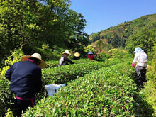 Load image into Gallery viewer, Wuyi Mountain Rock Tea: Bei Dou(北斗)50g