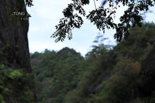 Load image into Gallery viewer, Rock tea core producing areas :Dao Shui Keng Rou Gui “倒水坑肉桂”