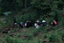 Load image into Gallery viewer, Limited Edition "Guwangkeng Jin Junmei"