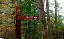 Load image into Gallery viewer, 2022 Niu Lan Valley Rou Gui