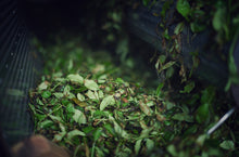 Load image into Gallery viewer, small horsemeat(Ma Zai Keng Rou Gui)小马肉