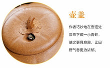 Load image into Gallery viewer, Frog Fun Pumpkin Teapot