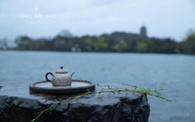 Load image into Gallery viewer, Jing Zhe Sterling silver teapot 惊蛰纯银茶壶