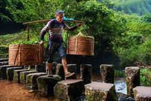 Load image into Gallery viewer, "The Cup of China"|Gold Award Rou Gui