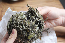 Load image into Gallery viewer, 2018 Bai Mu Dan cake  white tea (75g)