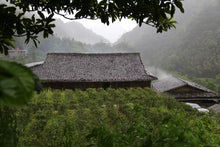 Load image into Gallery viewer, Limited Edition "Guwangkeng Jin Junmei"