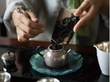 Load image into Gallery viewer, Jing Zhe Sterling silver teapot 惊蛰纯银茶壶