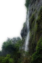 Load image into Gallery viewer, Special Grade Handmade Hui Yuan Keng Gao Cong Shui Xian