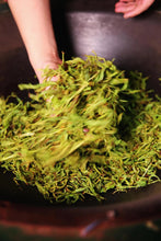 Load image into Gallery viewer, White Cockscomb - 白鸡冠 (Bai Ji Guan) 50g