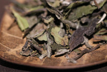 Load image into Gallery viewer, Wild White Tea - 2018