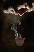 Load image into Gallery viewer, Wuyi Mountain Rock Tea "Su Xin Lan"