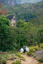 Load image into Gallery viewer, The first batch of national intangible cultural heritage Wuyi rock tea (Dahongpao) production skills inheritor: "Special Grade Handmade Ma Tou Yan Rou Gui" by Mr. Wang Guoxing: