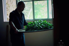 Load image into Gallery viewer, 2022 Niu Lan Valley Rou Gui