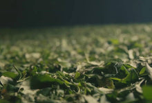 Load image into Gallery viewer, 2019 Lao Cong Lapsang Souchong(聆听岁月)