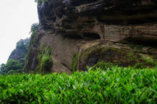 Load image into Gallery viewer, Jiu Long Ke Zheng Yan Rou Gui 2019