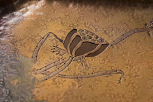 Load image into Gallery viewer, Lotus pond frog call Hu Cheng( 荷塘蛙鸣海棠壶承