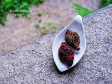 Load image into Gallery viewer, Long Xu Tea (Lao Cong Shui Xian)