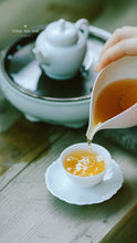 Load image into Gallery viewer, Jin You Di Da Hong Pao(金油滴大红袍)