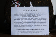 Load image into Gallery viewer, 2002 Fu Hai Tea Factory Green Seal Pu'er Shengtea