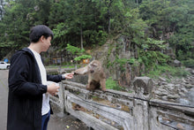 Load image into Gallery viewer, Fujian Wuyi Mountain Tongmuguan wild black tea
