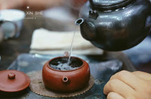 Load image into Gallery viewer, Limited Time Event: Buy 1 Get 1 Free. 2020 Ecological Gao Cong Shui Xian(高枞水仙)