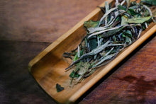 Load image into Gallery viewer, 2022 Taimu Mountain White Peony