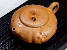 Load image into Gallery viewer, Frog Fun Pumpkin Teapot