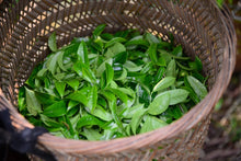 Load image into Gallery viewer, Peach Kernel Aroma Fenghuang Dancong Oolong/凤凰单丛桃仁香