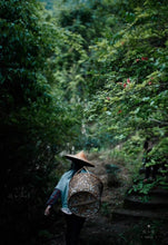 Load image into Gallery viewer, 2015 Lao Cong Shui Xian(老枞水仙)