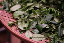 Load image into Gallery viewer, 2022 Purebred Da Hong Pao/纯种大红袍