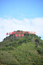 Load image into Gallery viewer, “Lao Cong Zhi Lan Xiang” Phoenix dancong oolong/老枞芝兰香