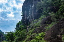 Load image into Gallery viewer, Bamboo Nest Rou Gui /竹窠肉桂