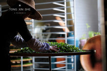 Load image into Gallery viewer, Phoenix Single Cong: Lao Cong Duck Feces Fragrance "Silver Flower Fragrance"