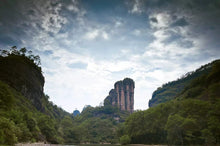 Load image into Gallery viewer, 2019 lotus peak Zheng Yan Shui Xian(50g)