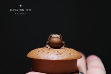 Load image into Gallery viewer, "Chan Bao"《蟾宝》 陈真制作200cc