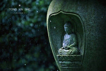 Load image into Gallery viewer, Bulguk Rock Rou Gui/佛国岩肉桂