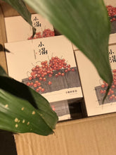 Load image into Gallery viewer, 2020 Bai Hao Yin Zhen(小满/白毫银针)